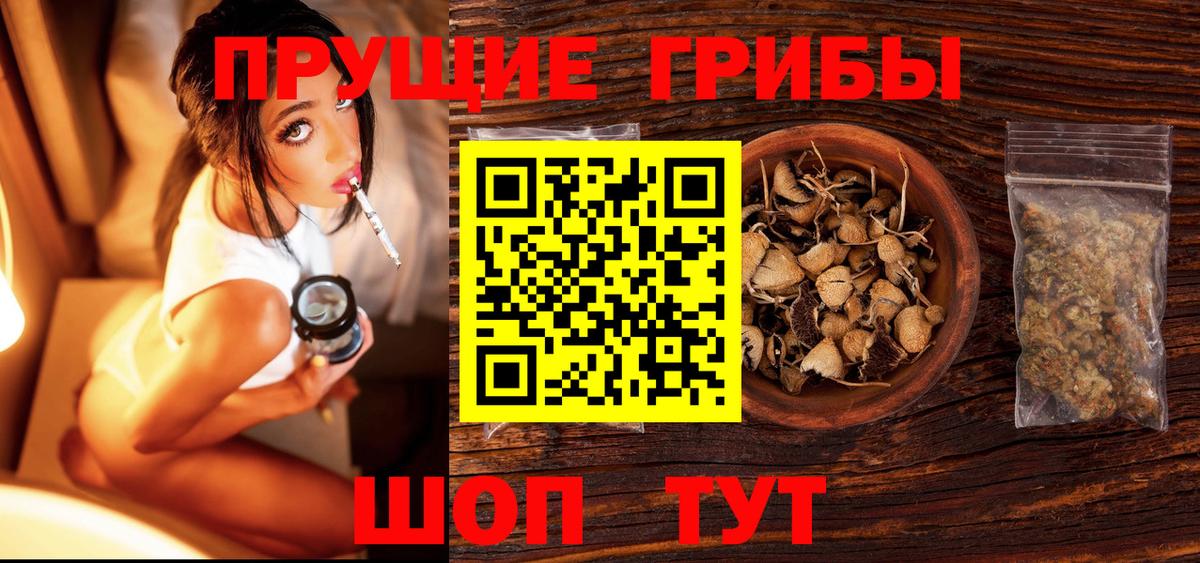 Галлюциногенные грибы мухоморы Тверь