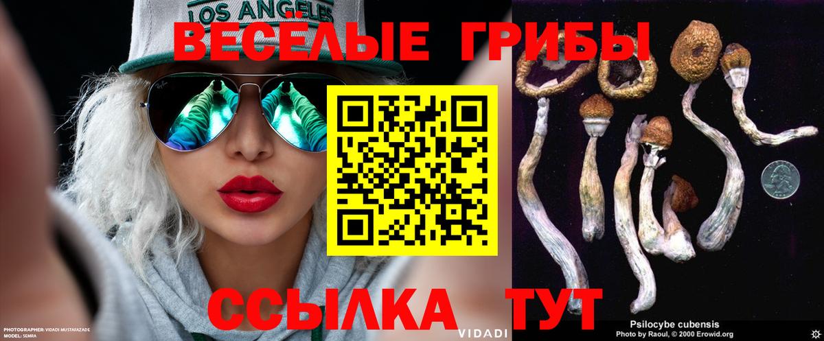 Галлюциногенные грибы Psilocybine cubensis  купить наркоту  Тверь  Вход с VPN 